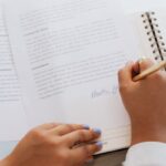 litigation funding
