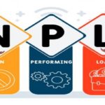 Una buona descrizione visiva di cosa significhi l'acronimo NPL