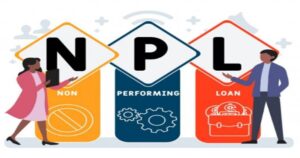 Una buona descrizione visiva di cosa significhi l'acronimo NPL